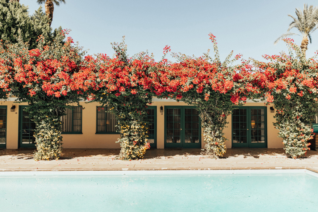 Pink Bougainvillea covering the building at Casa Cody boutique hotel in Palm Springs, California