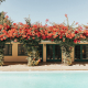 Pink Bougainvillea covering the building at Casa Cody boutique hotel in Palm Springs, California