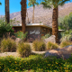 The Desert Hills Resort Hotel exterior with palm trees and native grasses