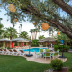 Lights dangle from a tree in front of the pool at the Desert Riviera mid-century modern boutique hotel in Palm Springs, California