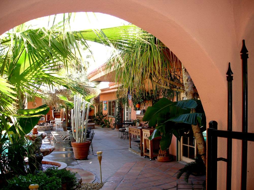 Coyote Inn's courtyard with palms and potted cacti