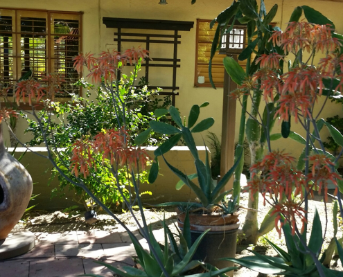 A piece of poetry next to orange flowers and green shrubbery outside at El Mirasol Villas in Palm Springs, California