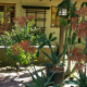 A piece of poetry next to orange flowers and green shrubbery outside at El Mirasol Villas in Palm Springs, California