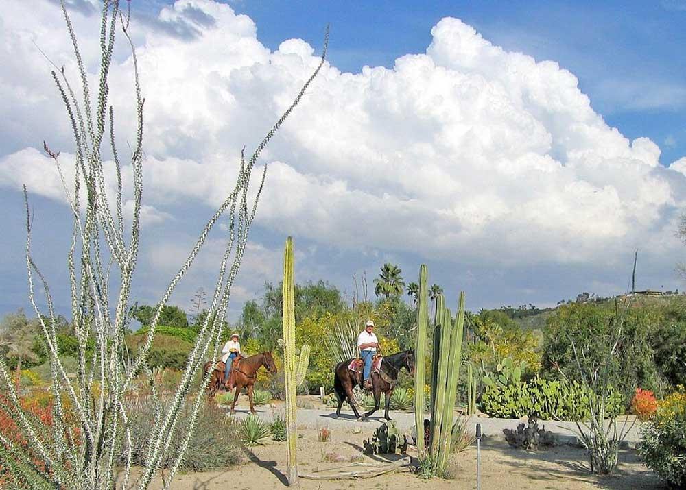 Two people ride horses through the Palm Springs desert landscape