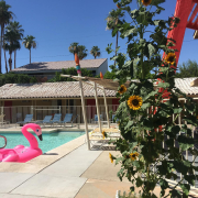 The Aloha Hotel is a woman-owned property in the Tahquitz River Estates