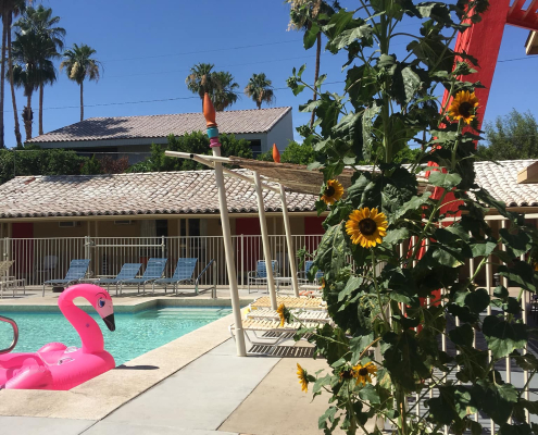 The Aloha Hotel is a woman-owned property in the Tahquitz River Estates