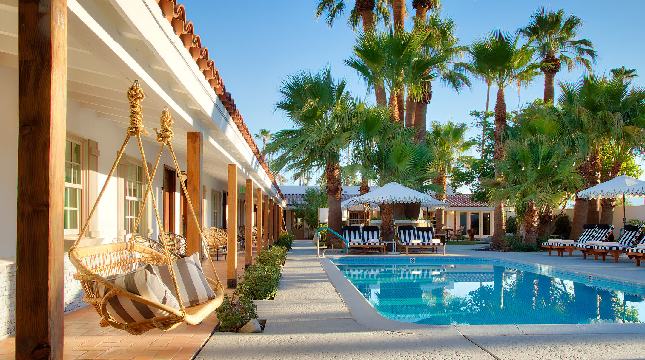 The swimming pool at Dive Palm Springs with swings next to it and palm trees behind it