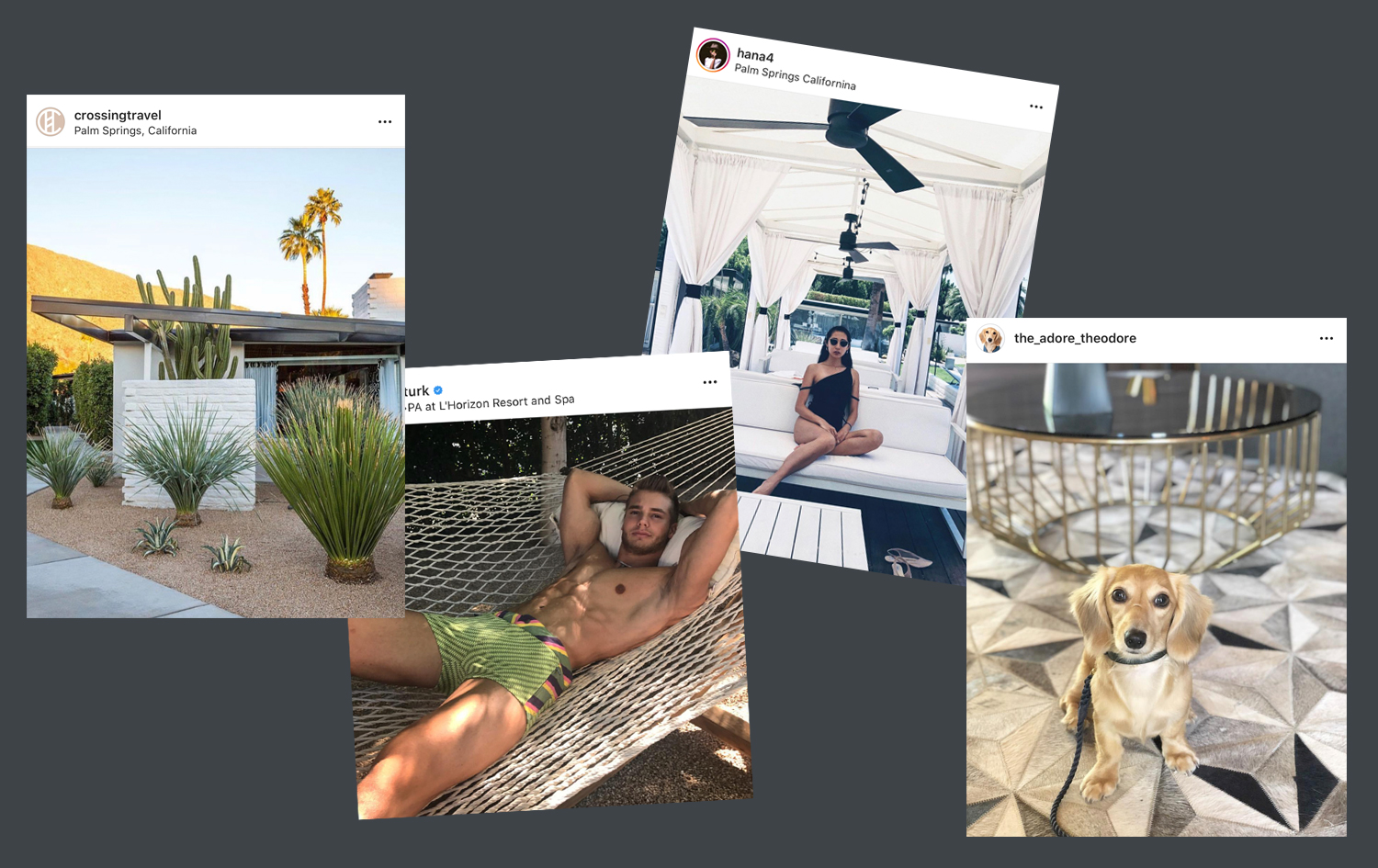 L'Horizon Instagram Posts