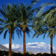 Palm Springs offers blue skies, palm trees, and snow-capped mountains. Photo courtesy of visitpalmsprings.com