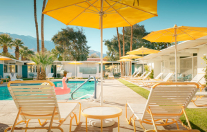 special monkey tree deals hotel