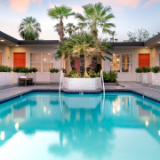 The courtyard pool at The Weekend Palm Springs surrounded by palm trees and the orange doors that lead to individual rooms