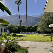 The grassy courtyard area at the Azure Sky boutique hotel in Palm Springs, California