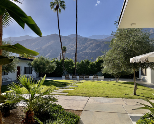 The grassy courtyard area at the Azure Sky boutique hotel in Palm Springs, California