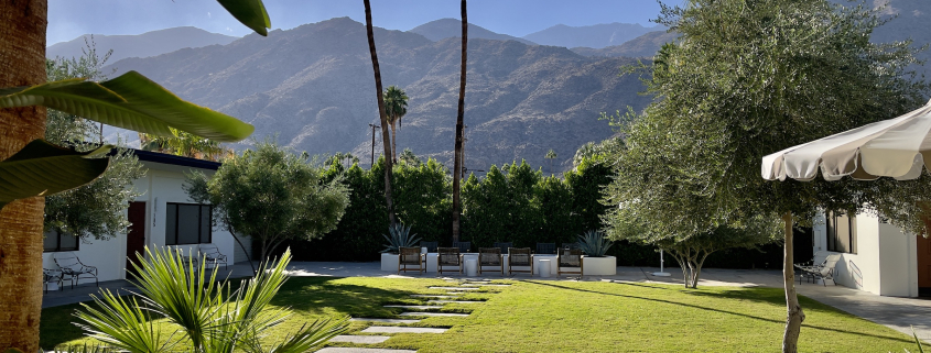 The grassy courtyard area at the Azure Sky boutique hotel in Palm Springs, California