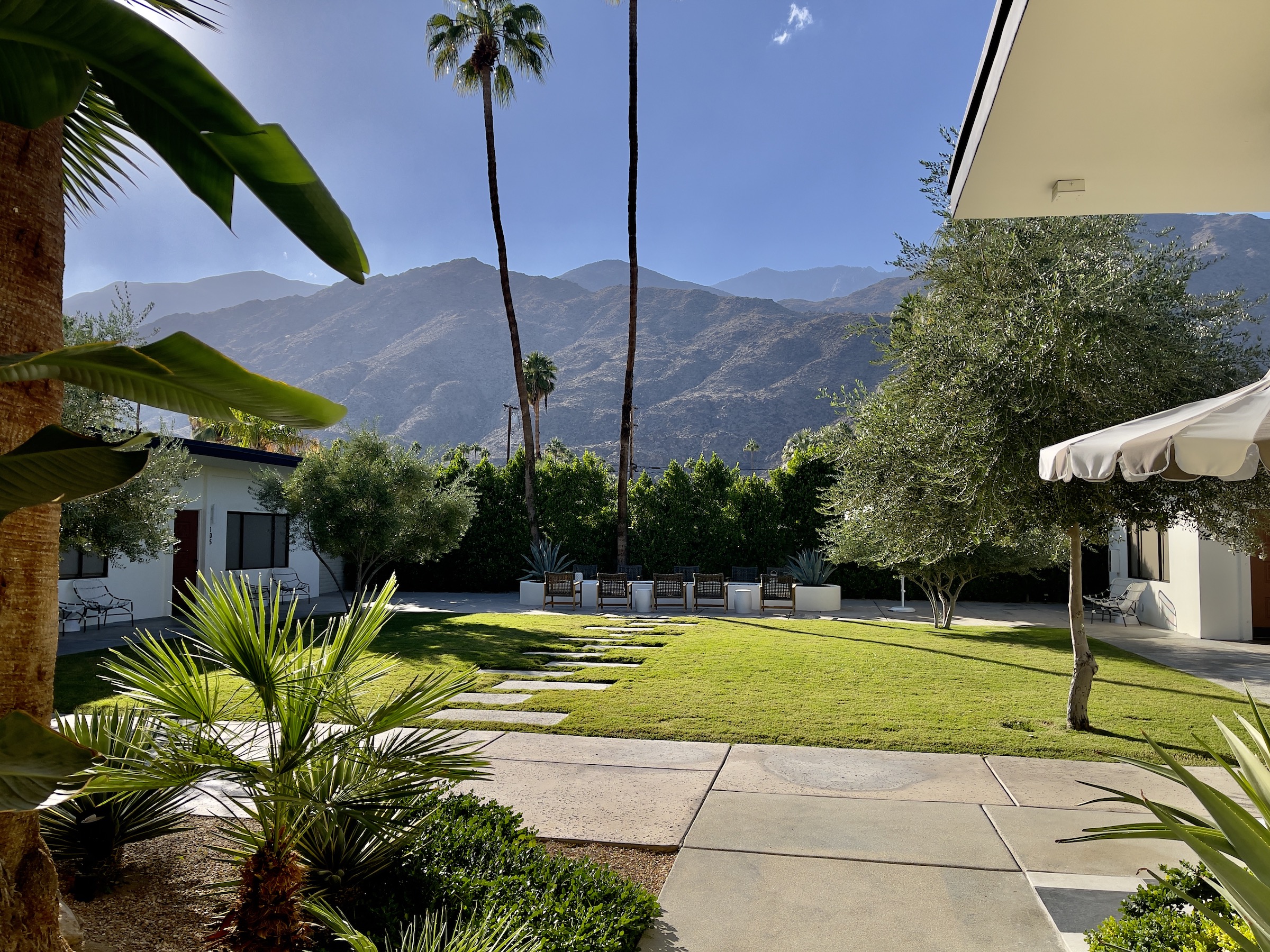 The grassy courtyard area at the Azure Sky boutique hotel in Palm Springs, California