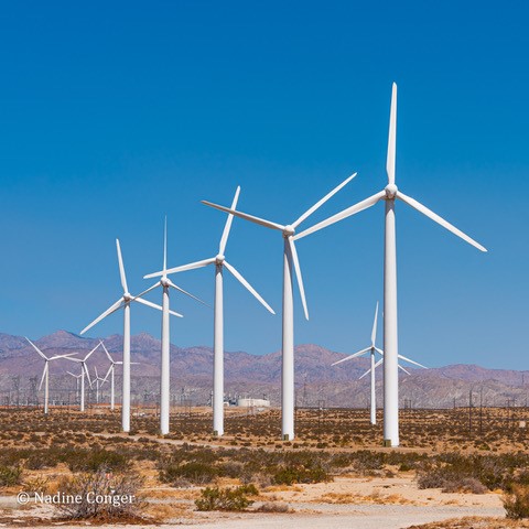 White windmills in front of a blue sky in Palm Springs, California