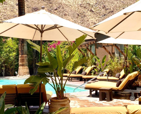 White umbrellas shade lounge chairs poolside at Talavera Palm Springs