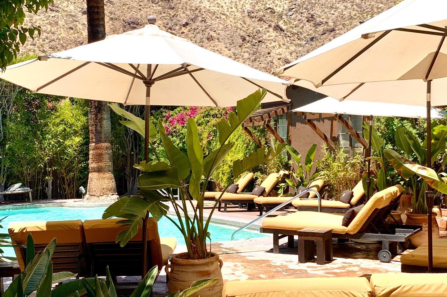 White umbrellas shade lounge chairs poolside at Talavera Palm Springs