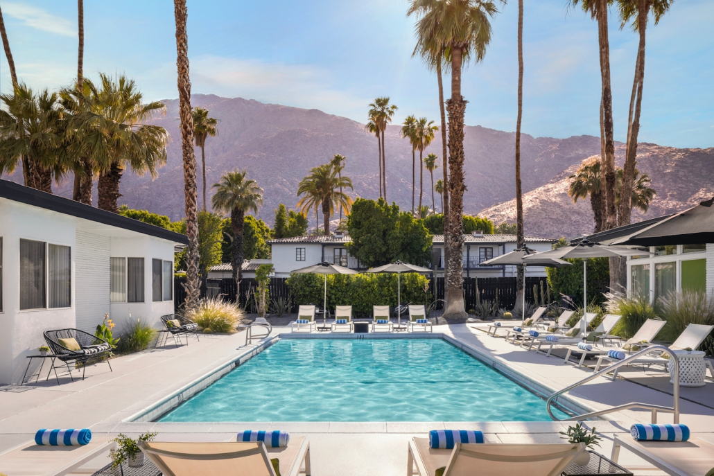 A pool with loungers and palm trees in the background