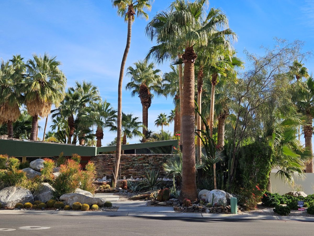 Palm trees surround a mid-century modern home in Palm Springs