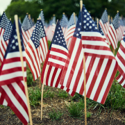 Small American flags stuck in a green lawn