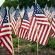 Small American flags stuck in a green lawn
