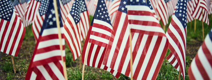 Small American flags stuck in a green lawn