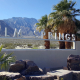 The Palm Springs sign on a windy day with palm fronds blowing in the background