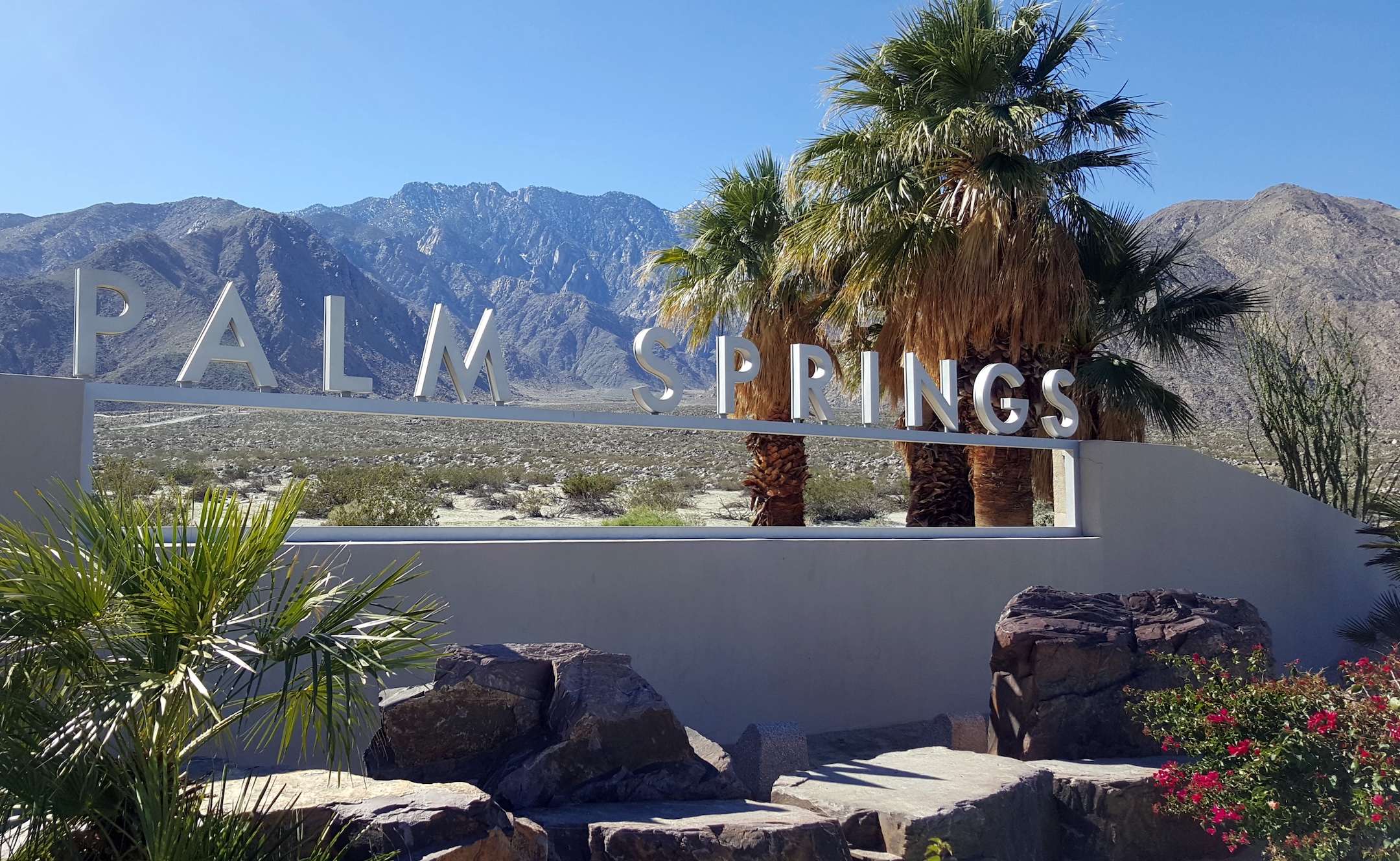 The Palm Springs sign on a windy day with palm fronds blowing in the background
