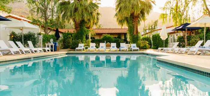 Alcazar Palm Springs' saltwater purified pool in the daytime